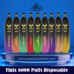 Finix 6000 Puffs Disposable