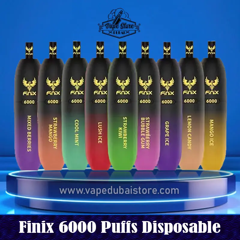 Finix 6000 Puffs Disposable