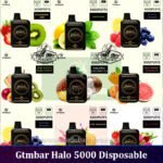 Gtmbar Halo 5000 Disposable