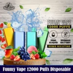 Fuumy Vape 12000 Puffs