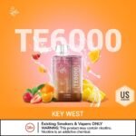 ELF BAR TE6000 Disposable Vape in Dubai (US Version)